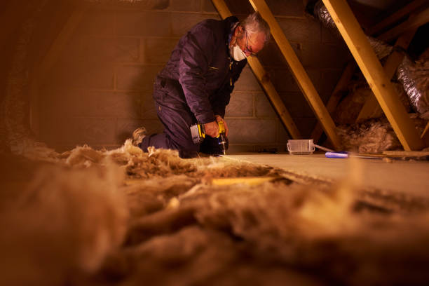 Best Insulation Contractors for Homes  in Utqiagvik, AK